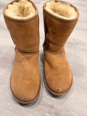 UGG Women's Chestnut Suede Shearling Lined Boots